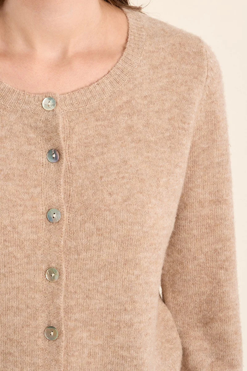 Knit Button Down Cardigan