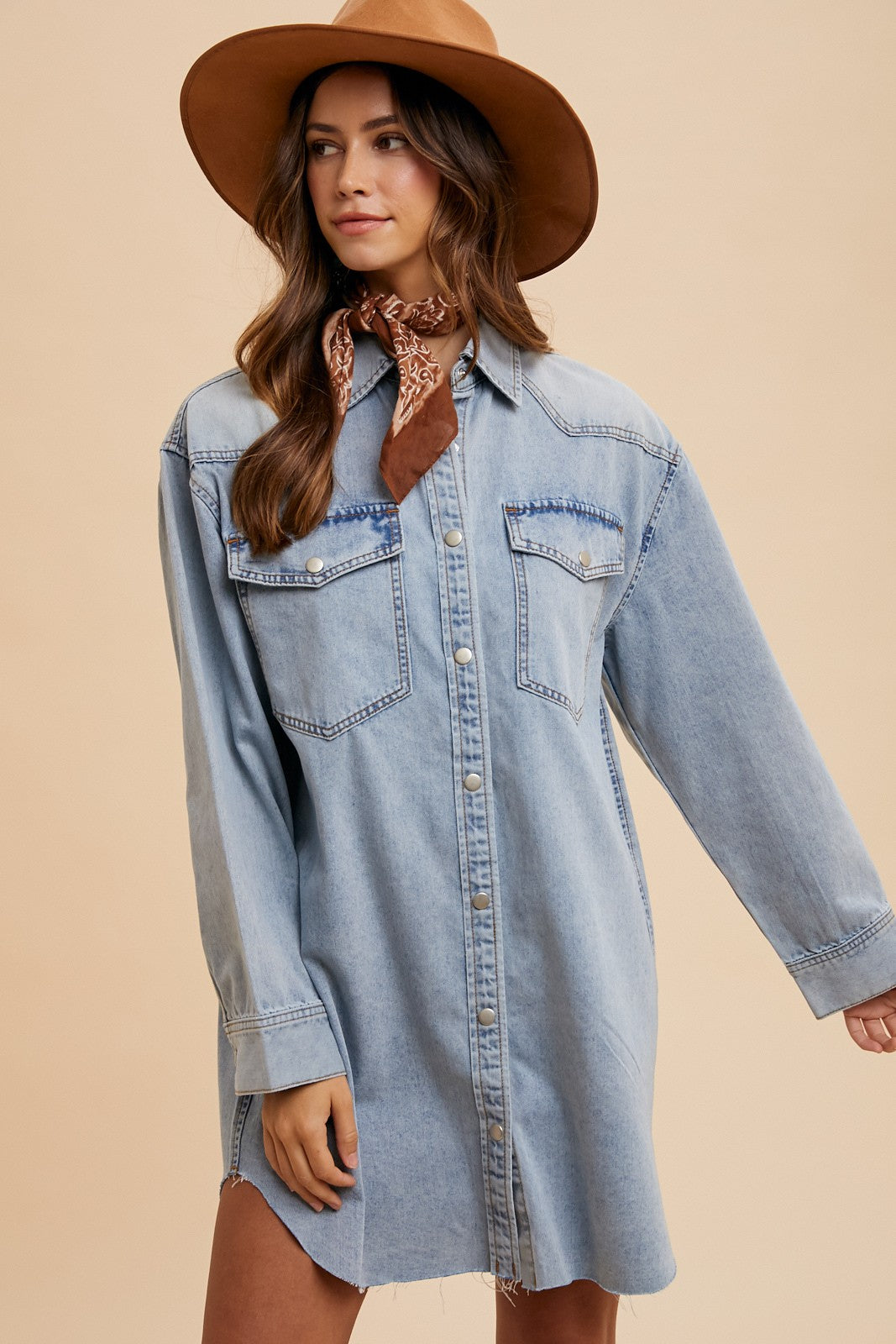 Comfort Stretch Denim Button Down Shirt Dress