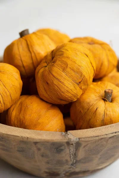 Bag of 15 Dried Miniature Faux Pumpkins