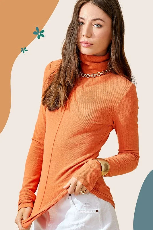 Knit Long Sleeve Turtle Neck Top