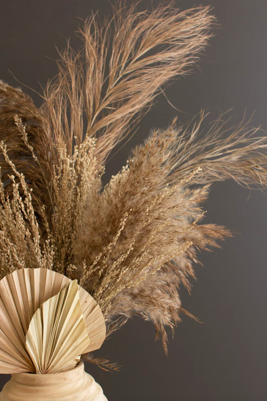 Large Bundle of Natural Pampas Grass