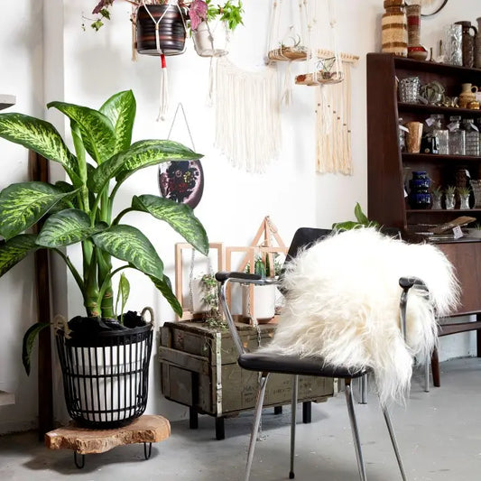 Icelandic Sheepskin