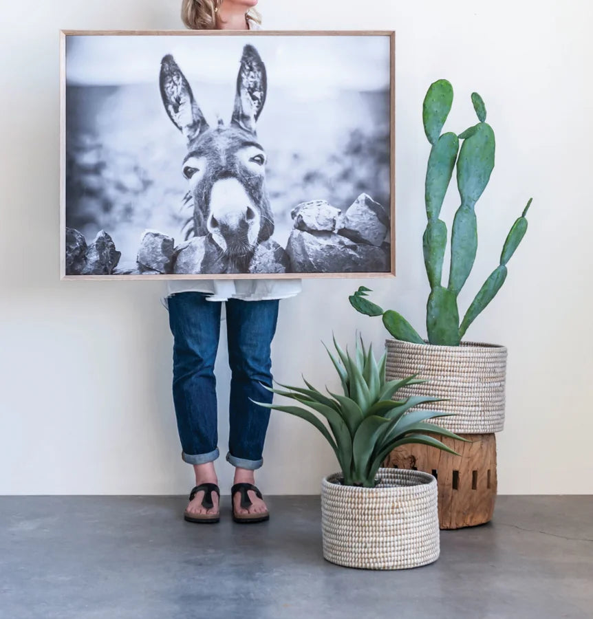 Canvas Wall Decor with Donkey