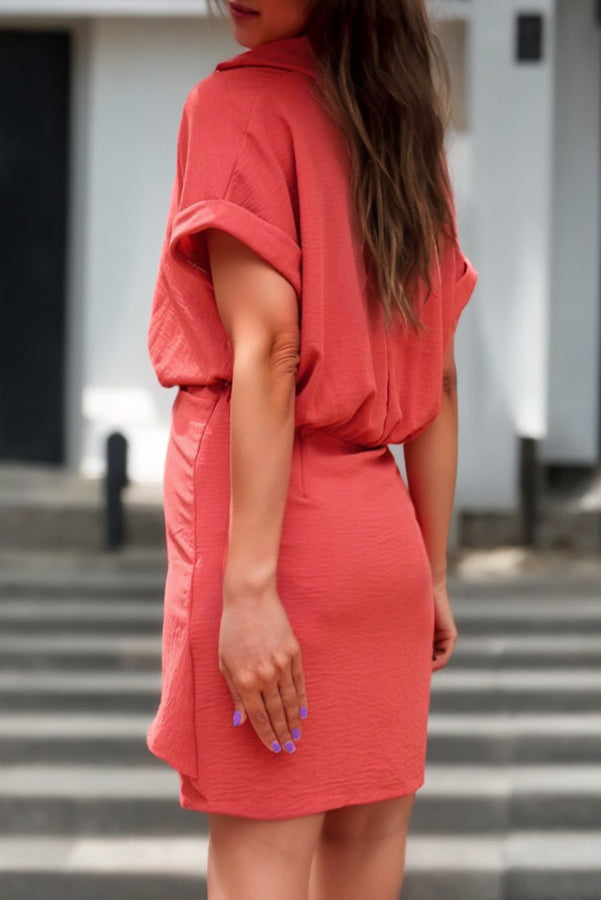 Buttoned Neckline Mini Dress