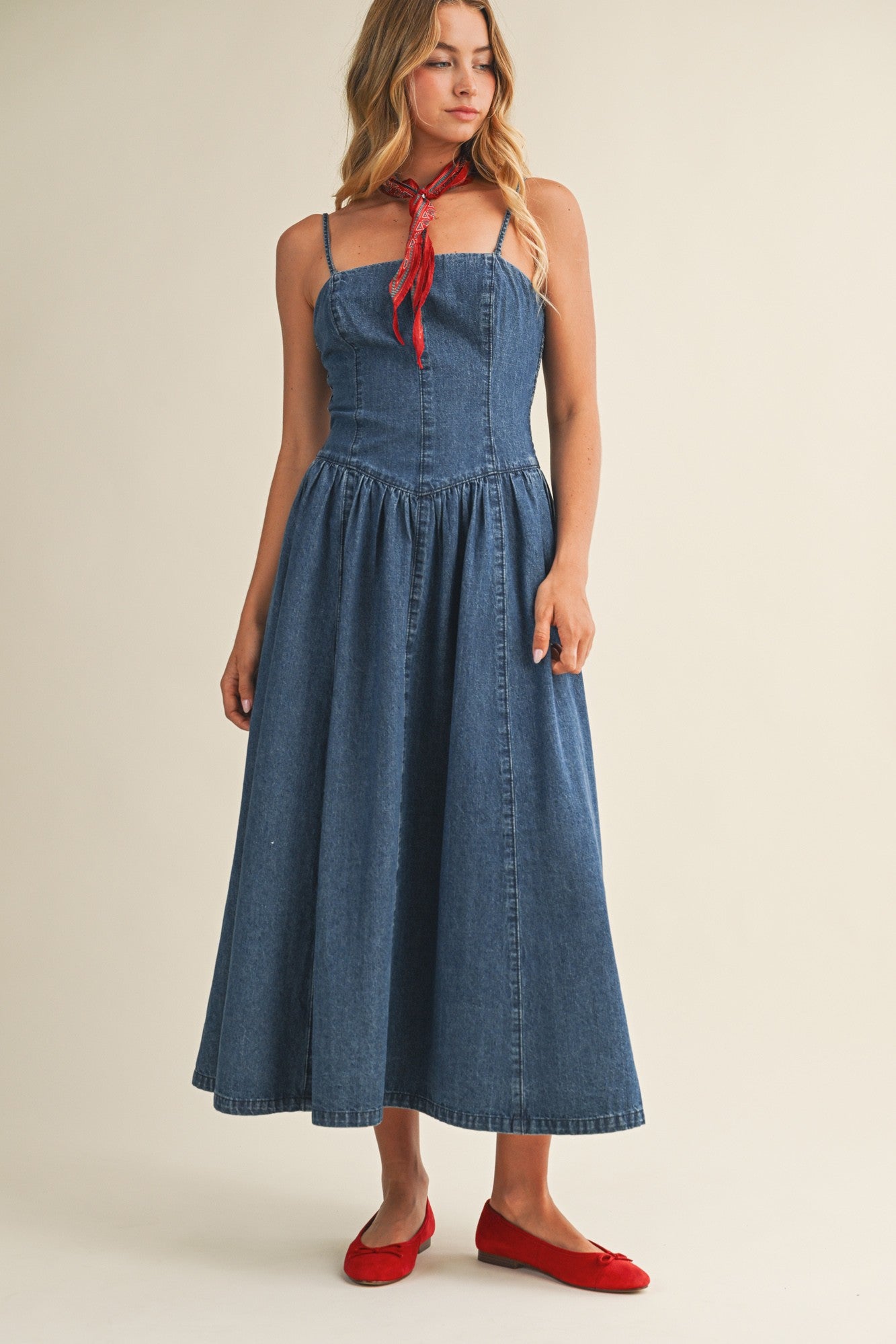 Seamed Full Skirt Denim Dress
