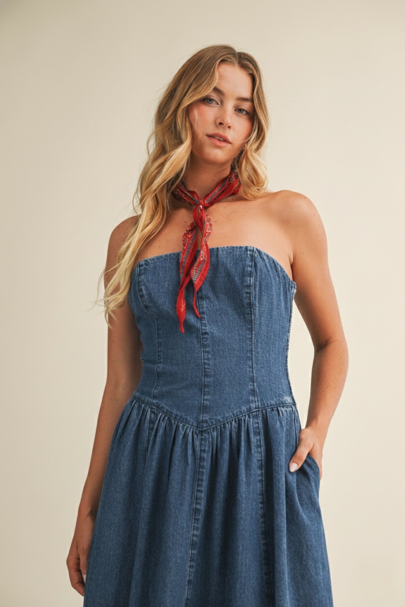 Seamed Full Skirt Denim Dress