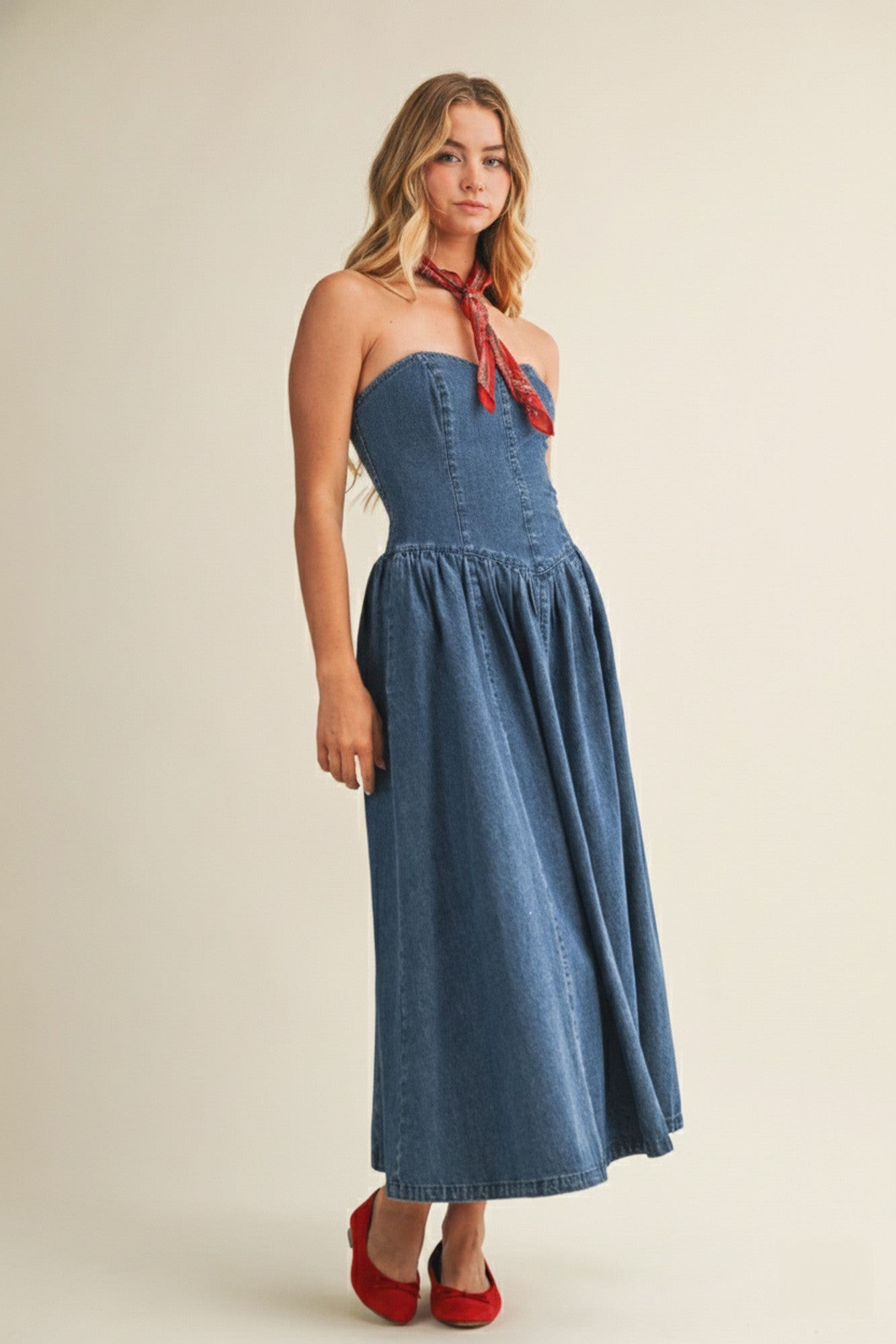 Seamed Full Skirt Denim Dress