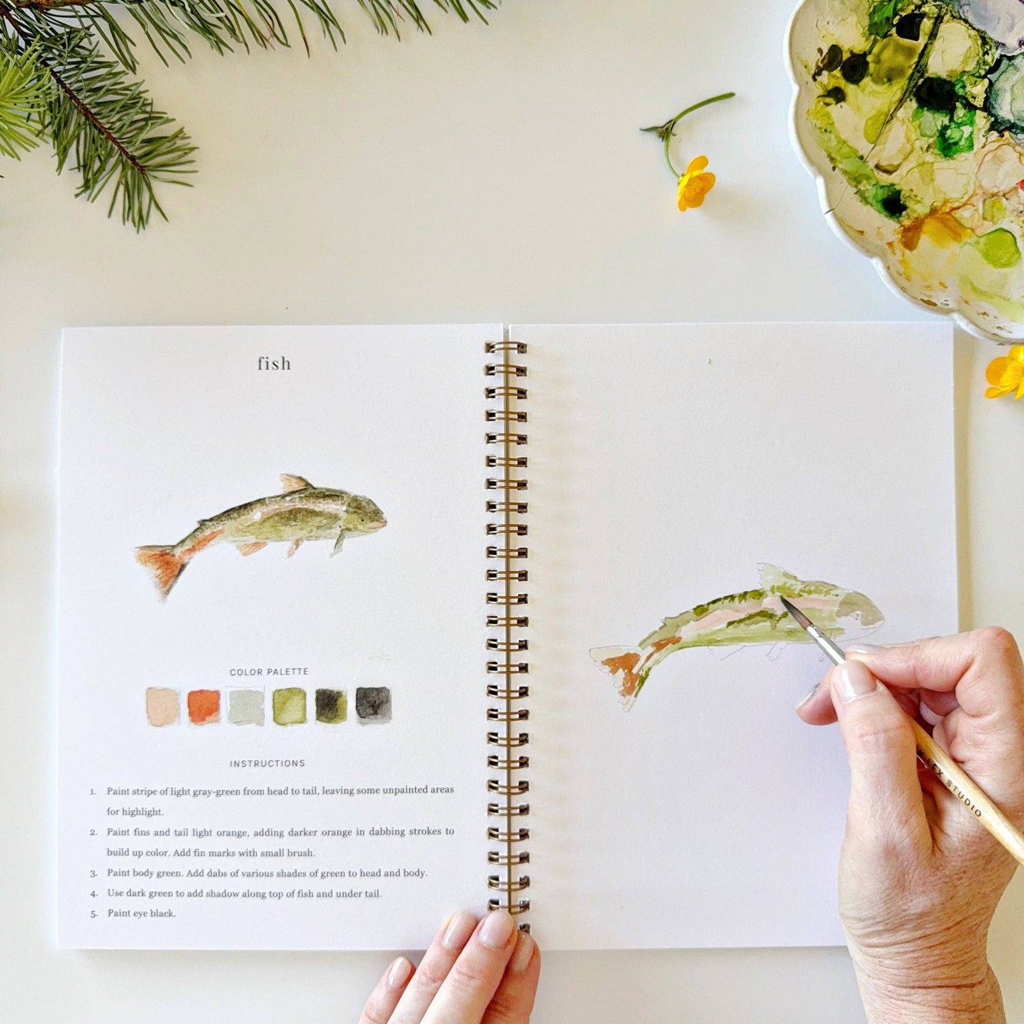 Watercolor Workbooks