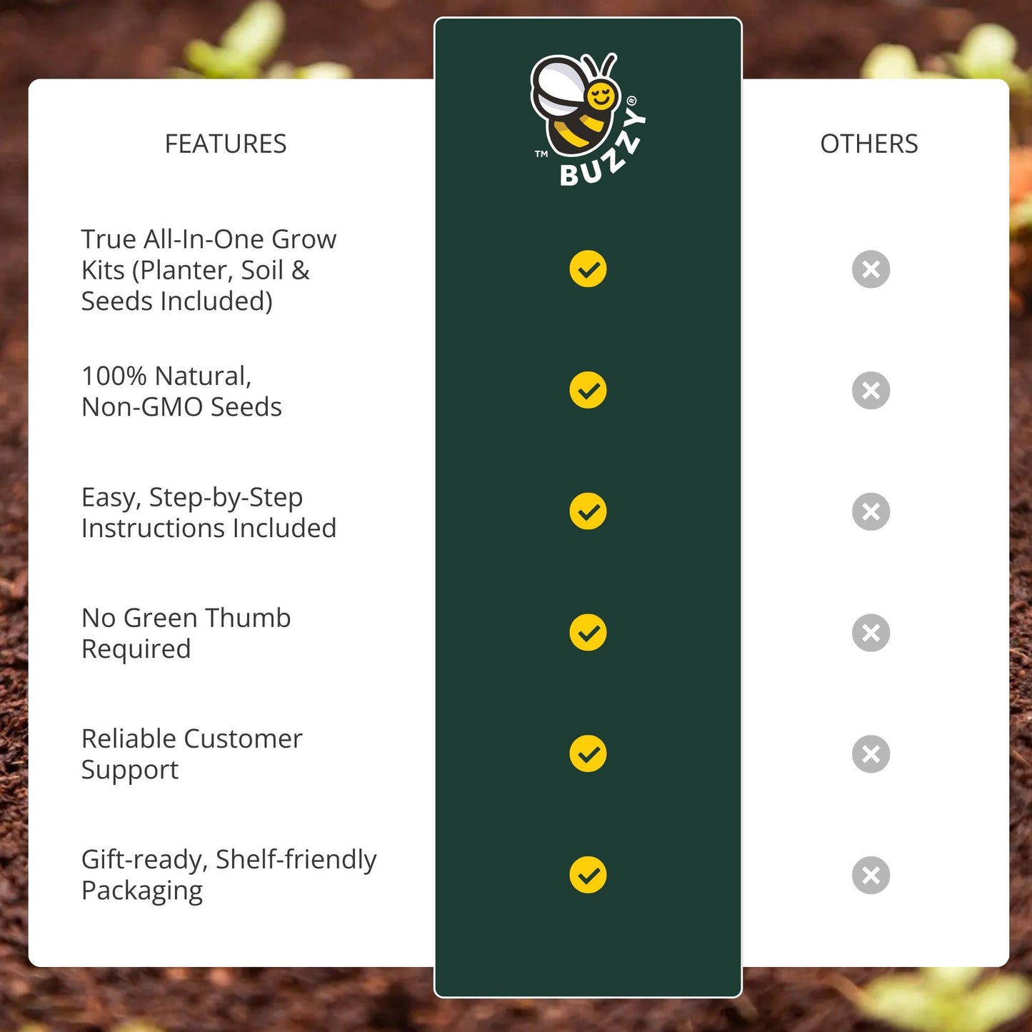 Egg Carton “It's Spring” – 6 Wildflower Seed Bombs