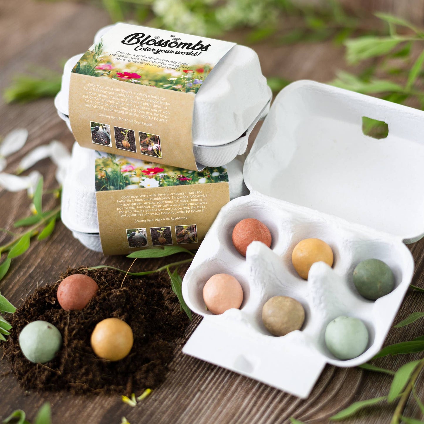 Egg Carton “It's Spring” – 6 Wildflower Seed Bombs