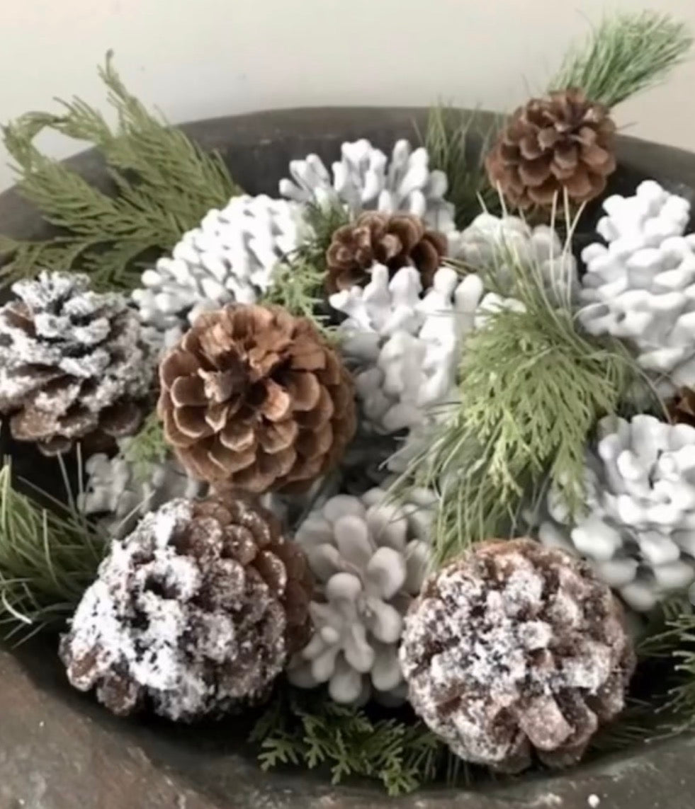 Hand Dipped Pinecones