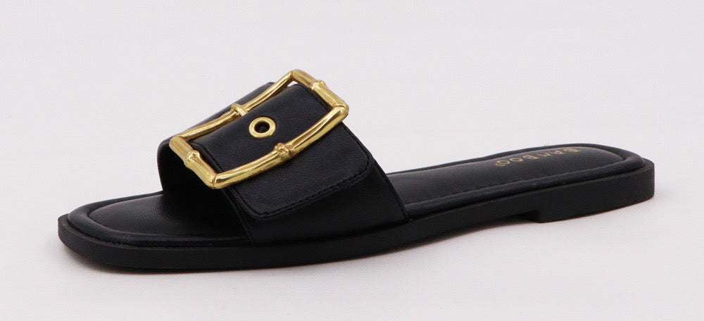Gold Buckle Slide