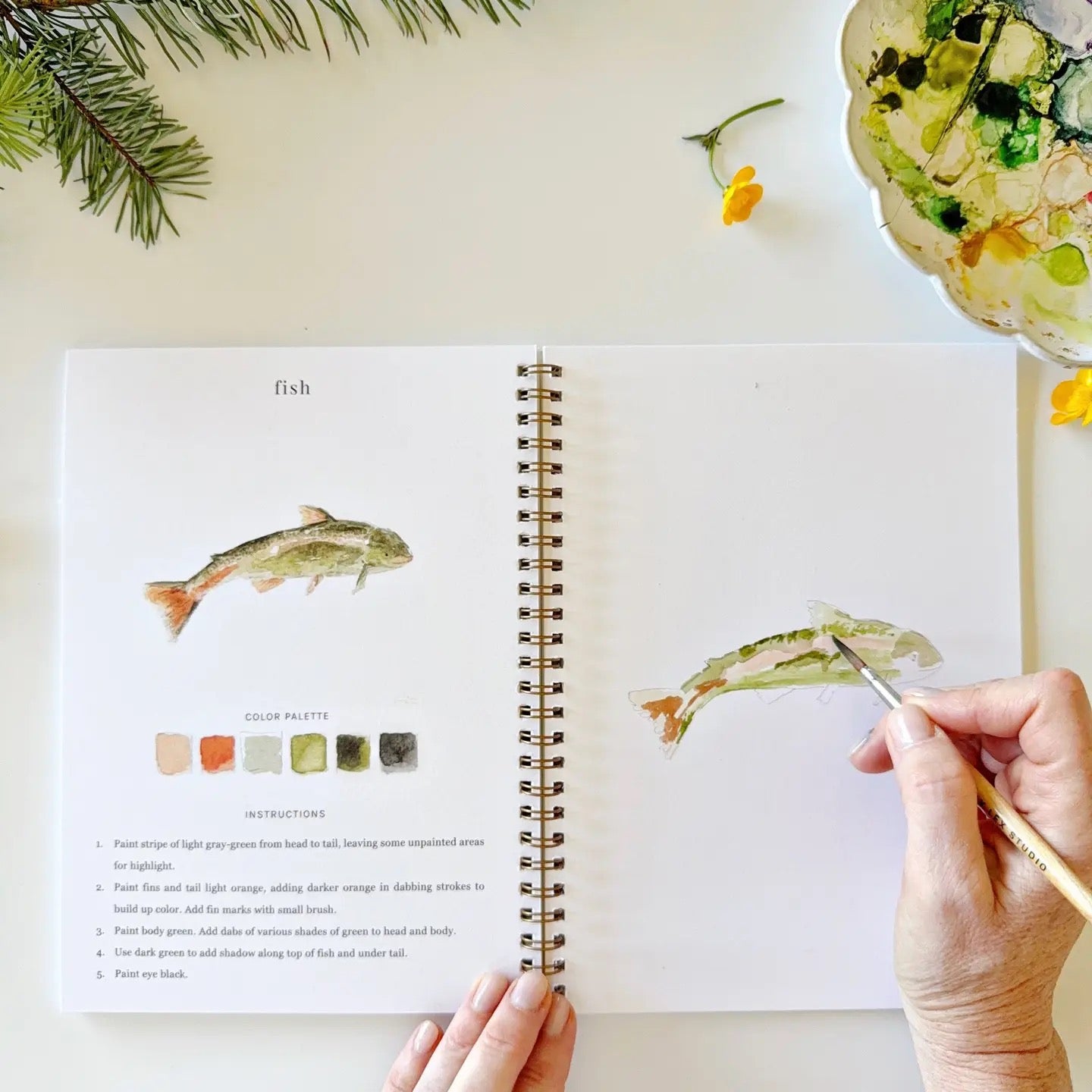 Watercolor Workbooks