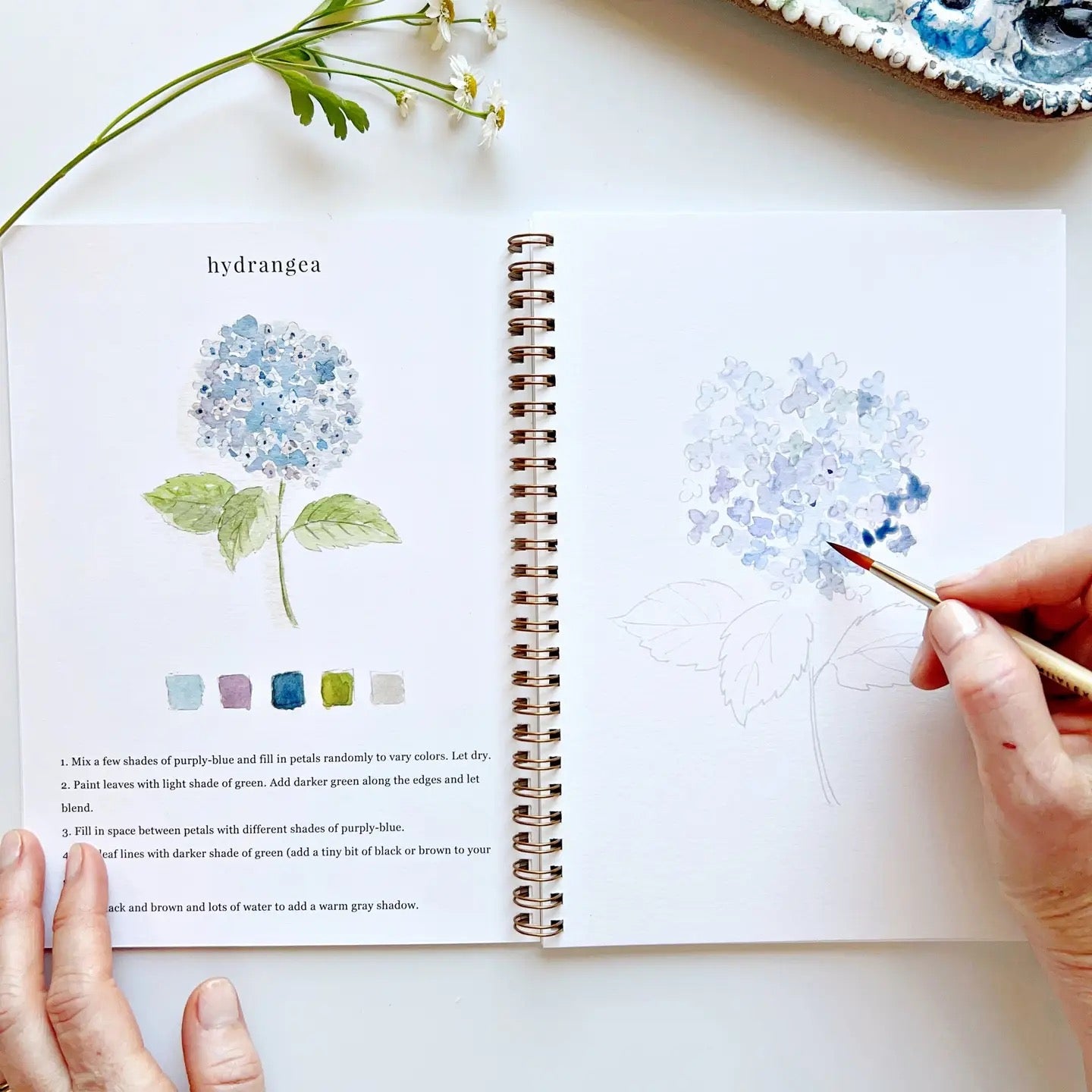 Watercolor Workbooks